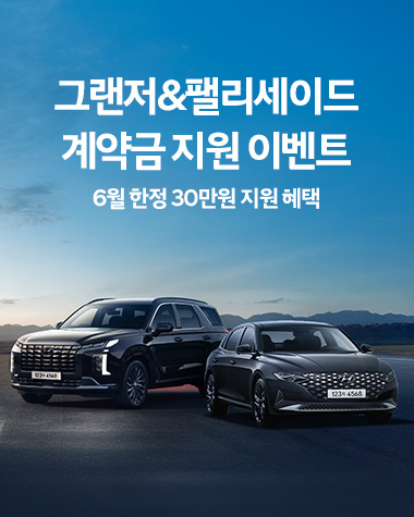 6월 그랜저 팰리세이드 계약금 지원 이벤트