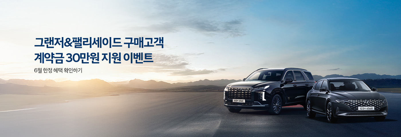 그랜저팰리세이드