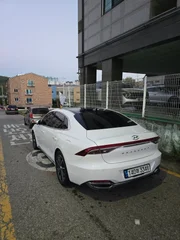 53589.jpg