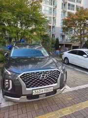 팰리세이드360서9806.jpg