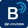 블루링크 app 이미지